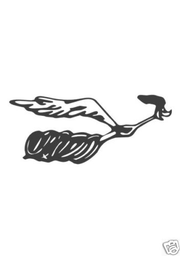 Road runner pieces right - road, +
